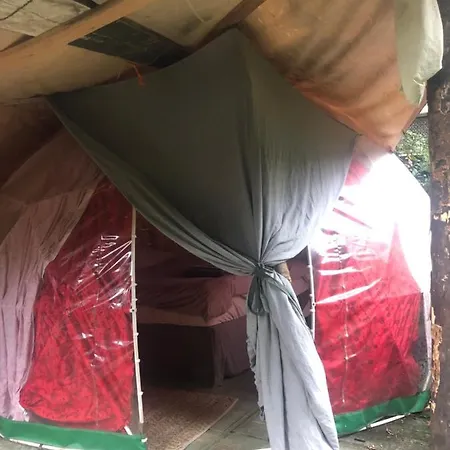 Camping Vintage Dome Igloo Tent, Lange Haven Schiedam