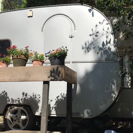 Vintage Dome Igloo Tent, Lange Haven Camping Schiedam